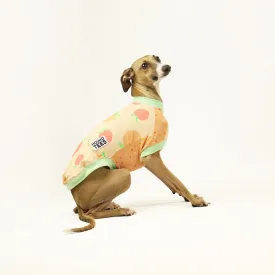 Peaches Italian Greyhound Sleeveless Hound-Tee