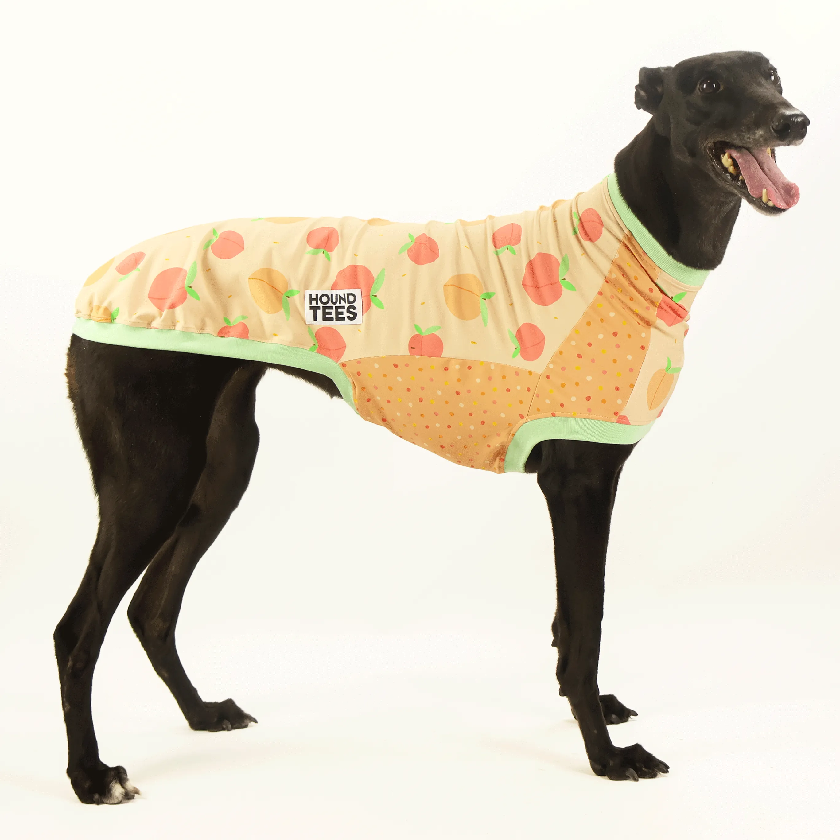 Peaches Italian Greyhound Sleeveless Hound-Tee